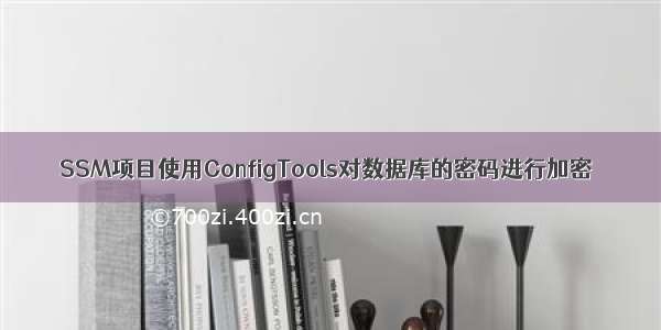 SSM项目使用ConfigTools对数据库的密码进行加密