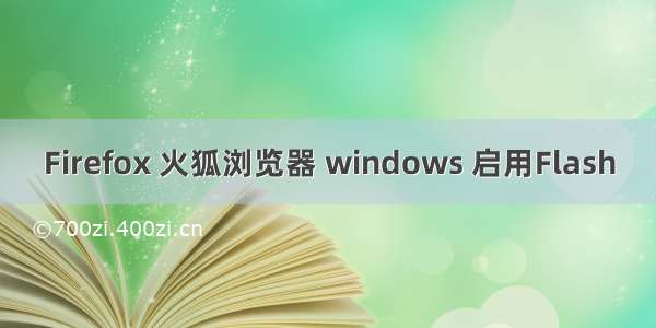 Firefox 火狐浏览器 windows 启用Flash