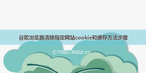 谷歌浏览器清除指定网站cookie和缓存方法步骤