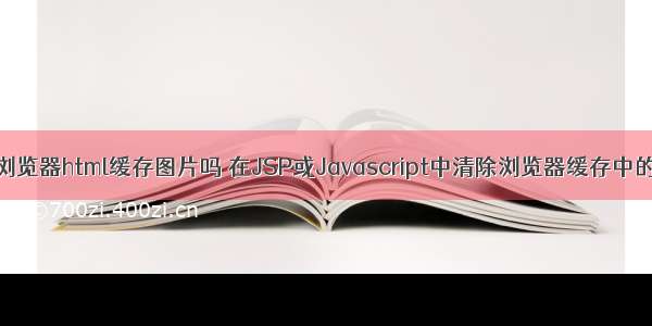 清理浏览器html缓存图片吗 在JSP或Javascript中清除浏览器缓存中的图像