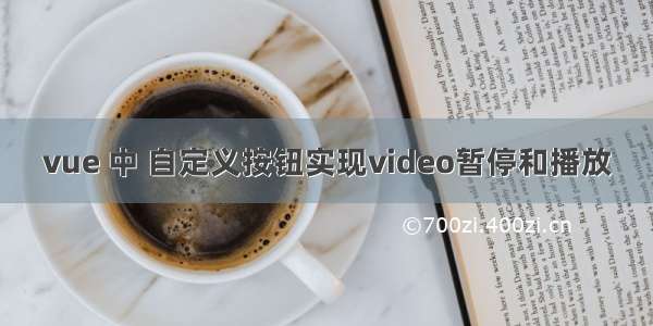 vue 中 自定义按钮实现video暂停和播放