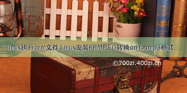 linux执行arm文件 Linux安装FFMPEG转换amr为mp3格式