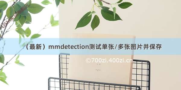 （最新）mmdetection测试单张/多张图片并保存