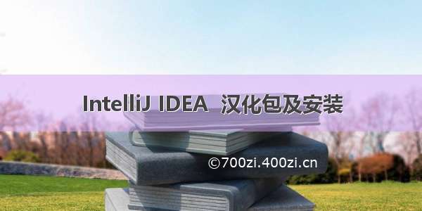 IntelliJ IDEA  汉化包及安装