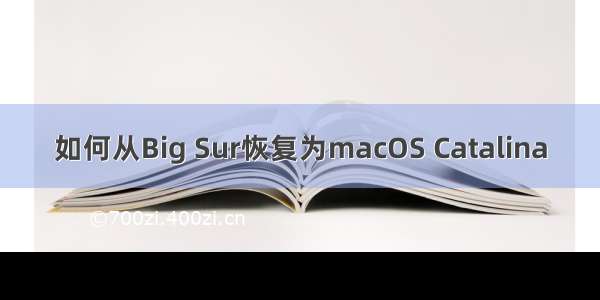 如何从Big Sur恢复为macOS Catalina