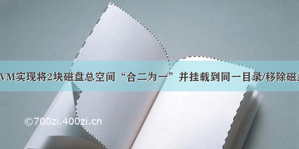 LVM实现将2块磁盘总空间“合二为一”并挂载到同一目录/移除磁盘