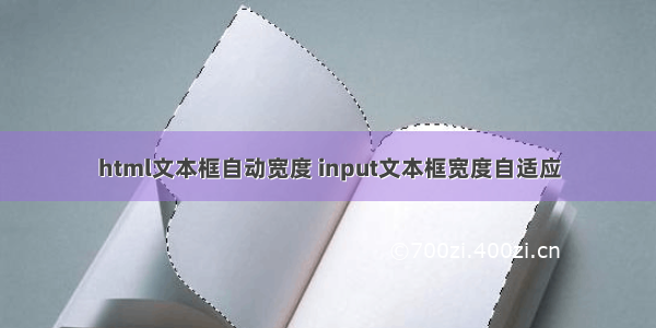 html文本框自动宽度 input文本框宽度自适应