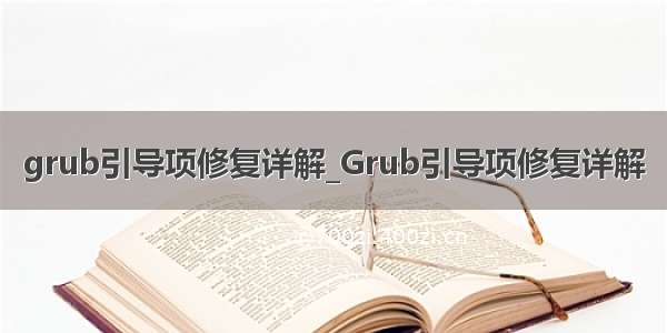 grub引导项修复详解_Grub引导项修复详解