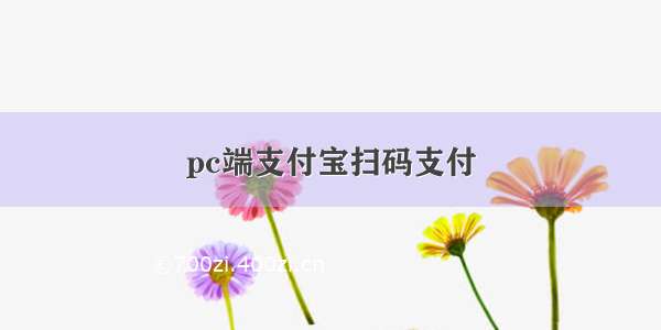 pc端支付宝扫码支付