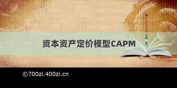 资本资产定价模型CAPM