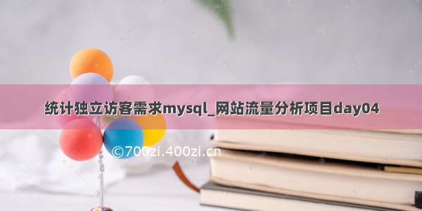 统计独立访客需求mysql_网站流量分析项目day04