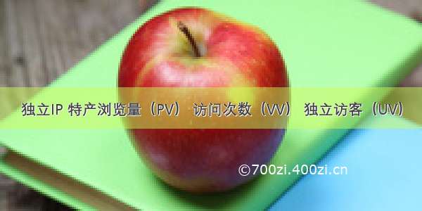独立IP 特产浏览量（PV） 访问次数（VV） 独立访客（UV）