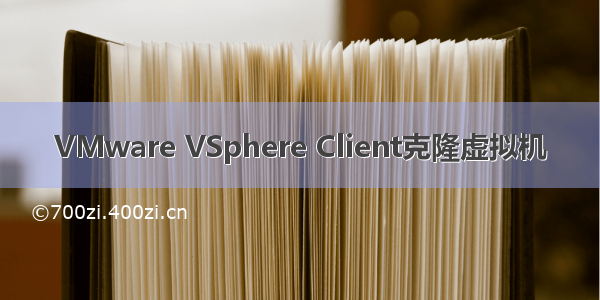 VMware VSphere Client克隆虚拟机