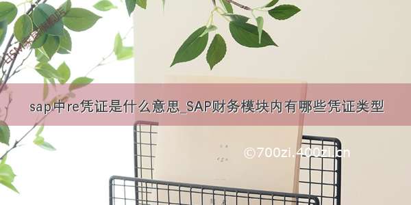 sap中re凭证是什么意思_SAP财务模块内有哪些凭证类型