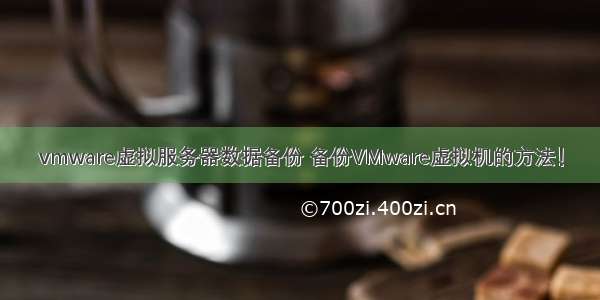 vmware虚拟服务器数据备份 备份VMware虚拟机的方法！