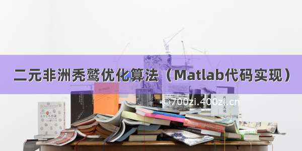 二元非洲秃鹫优化算法（Matlab代码实现）