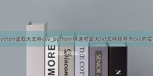 python读取大文件csv_python 快速把超大txt文件转存为csv的实例