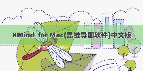 XMind  for Mac(思维导图软件)中文版