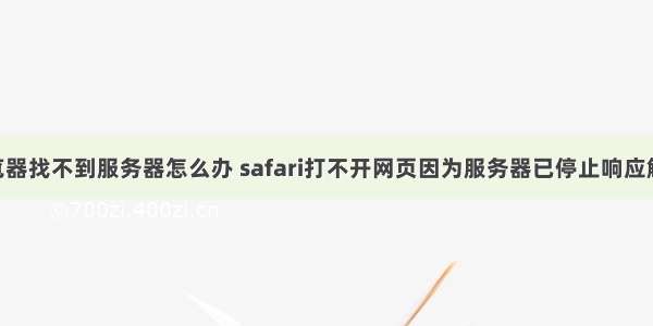 safari浏览器找不到服务器怎么办 safari打不开网页因为服务器已停止响应解决方法...