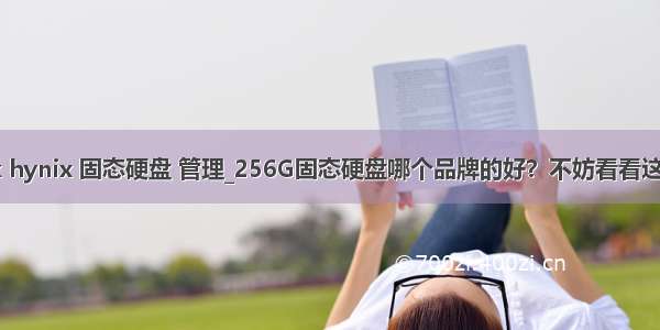 sk hynix 固态硬盘 管理_256G固态硬盘哪个品牌的好？不妨看看这个