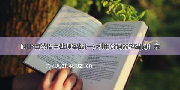 NLP自然语言处理实战(一):利用分词器构建词汇表