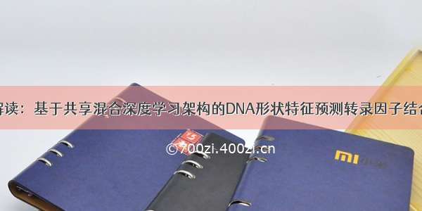 论文解读：基于共享混合深度学习架构的DNA形状特征预测转录因子结合位点