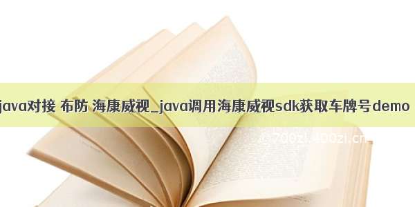 java对接 布防 海康威视_java调用海康威视sdk获取车牌号demo