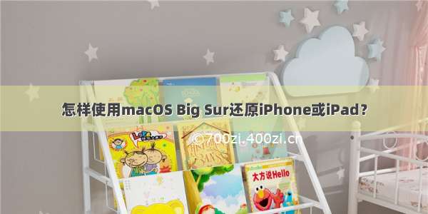 怎样使用macOS Big Sur还原iPhone或iPad？