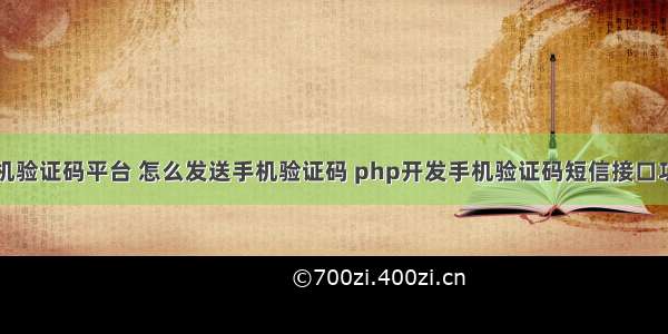 手机验证码平台 怎么发送手机验证码 php开发手机验证码短信接口功能