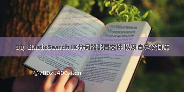 30_ElasticSearch IK分词器配置文件 以及自定义词库