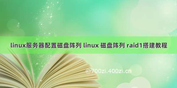 linux服务器配置磁盘阵列 linux 磁盘阵列 raid1搭建教程