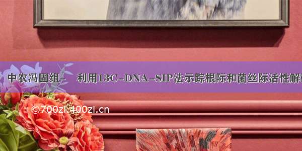 MPB：中农冯固组-​利用13C-DNA-SIP法示踪根际和菌丝际活性解磷细菌