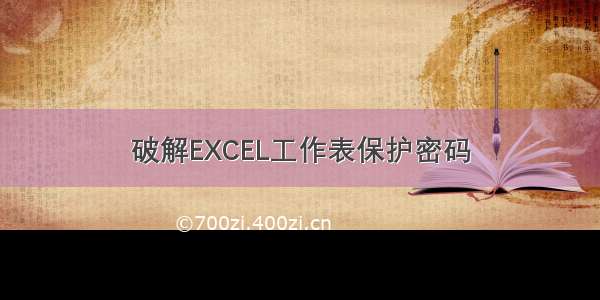 破解EXCEL工作表保护密码