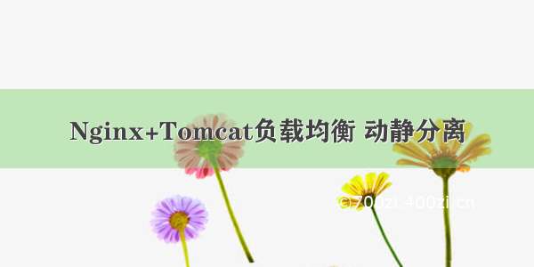 Nginx+Tomcat负载均衡 动静分离