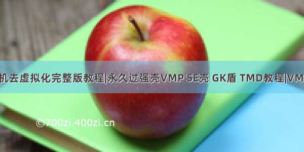 VMware虚拟机去虚拟化完整版教程|永久过强壳VMP SE壳 GK盾 TMD教程|VMware去虚拟化