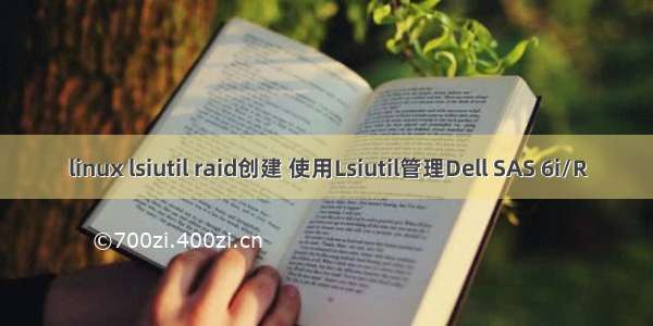 linux lsiutil raid创建 使用Lsiutil管理Dell SAS 6i/R