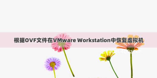 根据OVF文件在VMware Workstation中恢复虚拟机