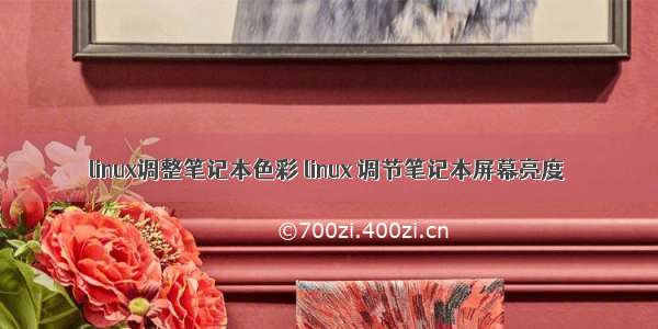 linux调整笔记本色彩 linux 调节笔记本屏幕亮度