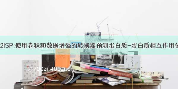 ctP2ISP:使用卷积和数据增强的转换器预测蛋白质-蛋白质相互作用位点