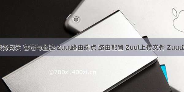 Zuul微服务网关 容错与监控 Zuul路由端点 路由配置 Zuul上传文件 Zuul过滤器 Zu