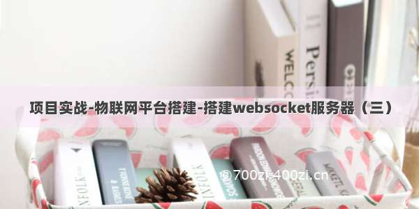 项目实战-物联网平台搭建-搭建websocket服务器（三）