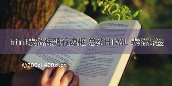 html表格标题行边框 总结HTML 表格标签