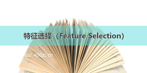 特征选择（Feature Selection）