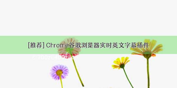 [推荐] Chrome谷歌浏览器实时英文字幕插件