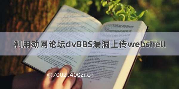 利用动网论坛dvBBS漏洞上传webshell