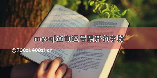 mysql查询逗号隔开的字段