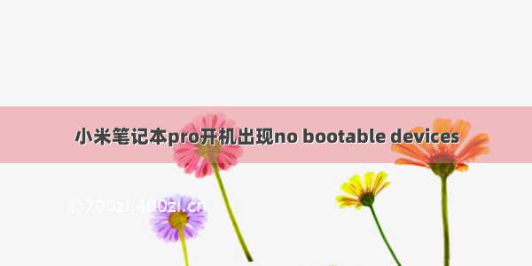 小米笔记本pro开机出现no bootable devices