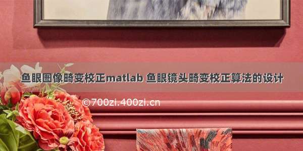 鱼眼图像畸变校正matlab 鱼眼镜头畸变校正算法的设计