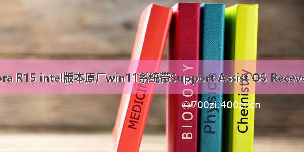 外星人Aurora R15 intel版本原厂win11系统带Support Assist OS Recevory恢复功能