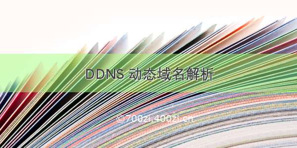 DDNS 动态域名解析